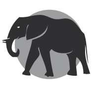 Techniques de l'éléphant